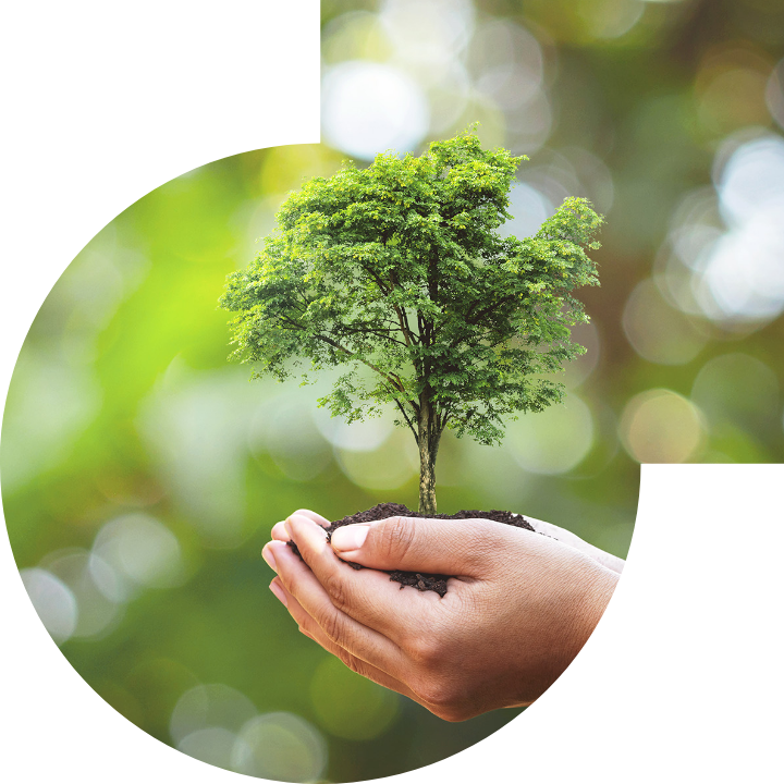 关怀人类、文化、环境与社会